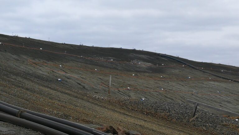 Environmental Management – Reliable Surveillance Operations – summary session